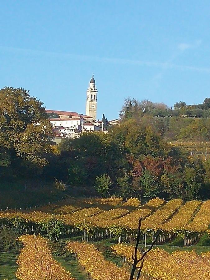 B&B Pontesello Colognola ai Colli エクステリア 写真