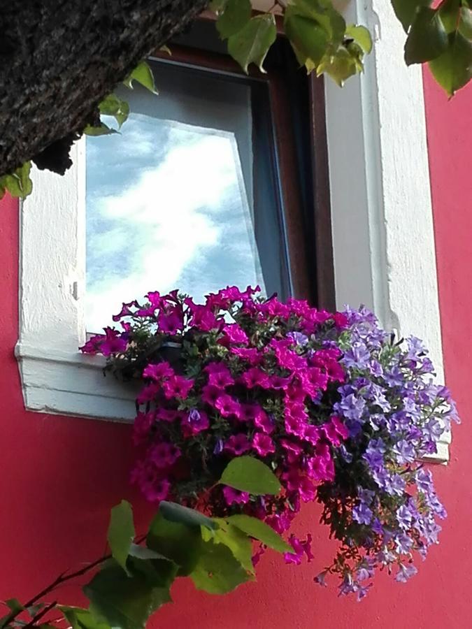 B&B Pontesello Colognola ai Colli エクステリア 写真